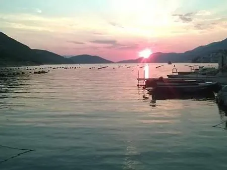 Toni * Neum