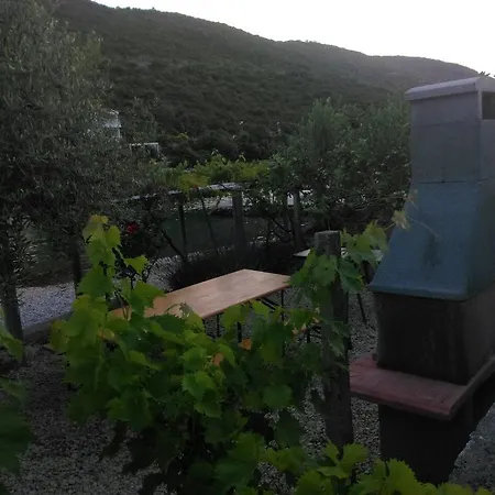 Toni * Neum