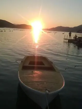 Toni * Neum